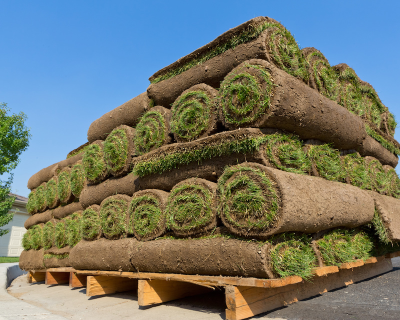 stacks of sod rolls